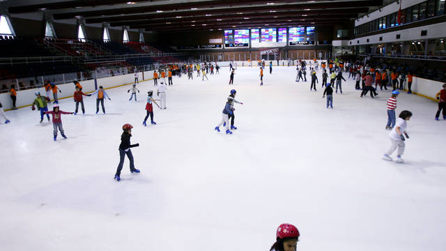 Pista de Hielo - Sesiones públicas