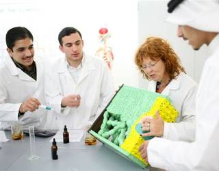 Academic Bridge Program