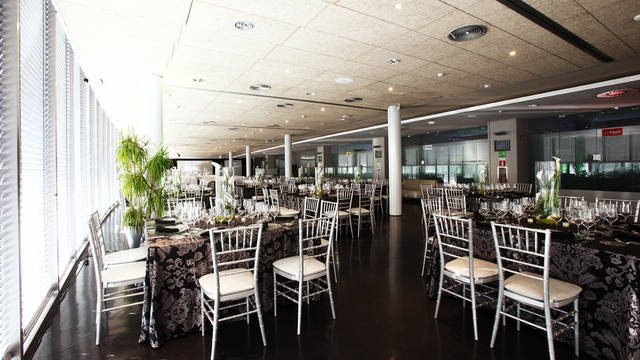 Roma Lounge