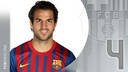 Francesc Fàbregas Soler