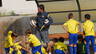 FCBEscola 2011-2012
